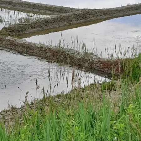 Les Pieds Dans L'eau * Batz-sur-Mer