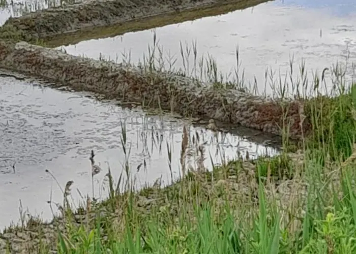 Les Pieds Dans L'eau * 바츠 쉬르 메르